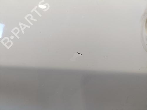 Right front door FIAT PUNTO EVO (199_) 1.3 D Multijet (199AXC1A, 199BXC1A, 199AXT1A, 199BXT1A) | BP22100819C3