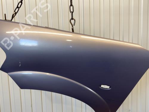 Left front fenders CITROËN C3 I (FC_, FN_) 1.4 HDi | BP22653614C41 
