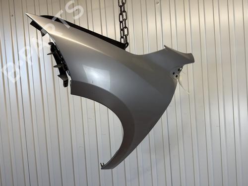 Used Left front fenders RENAULT MEGANE III Hatchback (BZ0/1_, B3_) 1.9 dCi (BZ0N, BZ0J) (131 hp) 29204727