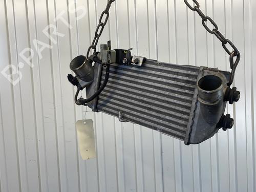 Used Intercooler Intercooler HYUNDAI i20 II (GB, IB) 1.0 T-GDI (101 hp) 29614888 29614888