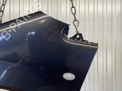 Left front fenders MERCEDES-BENZ A-CLASS (W168) A 170 CDI (168.008) | BP20910616C41 