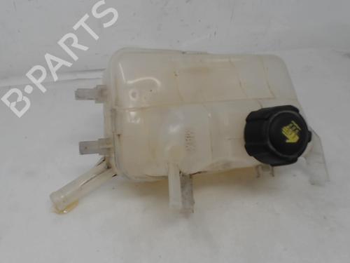 Used Expansion tank RENAULT MEGANE III Hatchback (BZ0/1_, B3_) 1.5 dCi (106 hp) 22099911