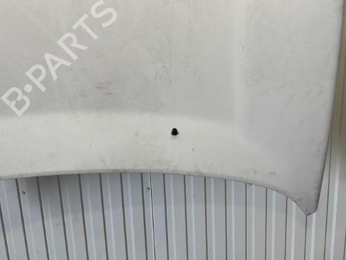 Hood LAND ROVER FREELANDER I (L314) 2.0 DI 4x4 | BP20915595C1 