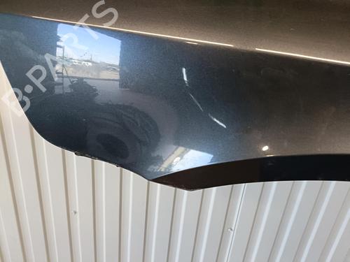 Used Left front fenders RENAULT LAGUNA II (BG0/1_) 1.9 dCi (BG08, BG0G) (120 hp) 22100784