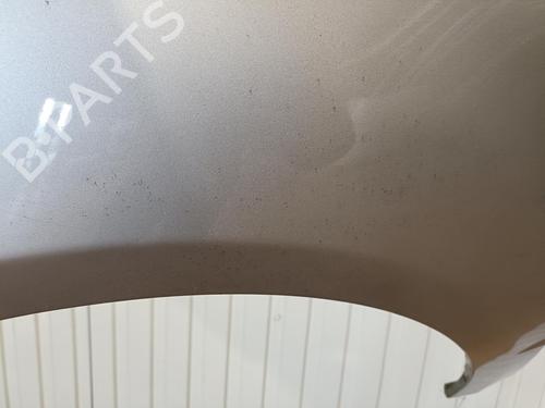 Left front fenders MERCEDES-BENZ A-CLASS (W169) A 180 CDI (169.007, 169.307) | BP20911509C41 