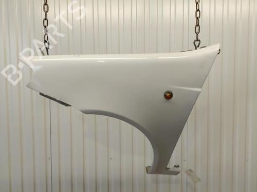 Left front fenders FIAT PUNTO (188_) 1.2 60 (188.030, .050, .130, .150, .230, .250) | BP20916965C41 