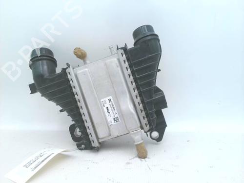 Used Intercooler Intercooler RENAULT CLIO V (B7_) 1.5 Blue dCi 100 (B7AD) (101 hp) 30795839 30795839