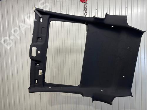 Tecto interior FIAT 500 (312_) 1.3 D Multijet (312AXB1A) (75 hp) 28806510