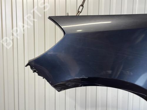 Left front fenders RENAULT CLIO III (BR0/1, CR0/1) 1.5 dCi (BR17, CR17) | BP28325802C41