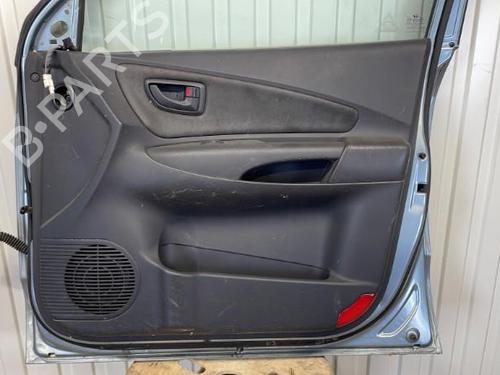 Right front door HYUNDAI TUCSON (JM) 2.0 CRDi All-wheel Drive | BP20912272C3 