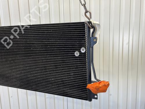 Used AC radiator AC radiator VW TOUAREG (7LA, 7L6, 7L7) 5.0 V10 TDI (313 hp) 30491889 30491889
