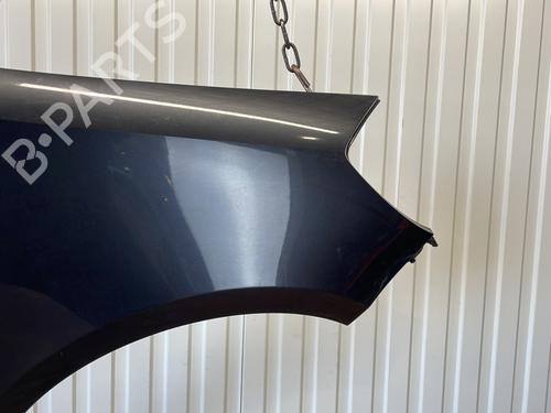Right front fenders RENAULT CLIO III (BR0/1, CR0/1) 1.4 16V | BP27376196C42 
