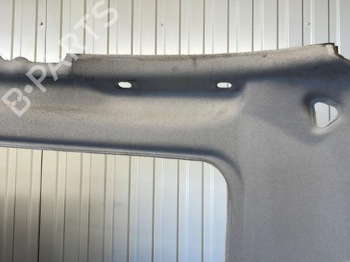 Interior roof NISSAN X-TRAIL I (T30) 2.2 dCi 4x4 | BP20910853I12 