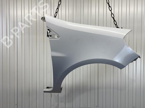 Used Right front fenders RENAULT CLIO III (BR0/1, CR0/1) 1.2 16V Hi-Flex (BR1U, CR1U) (75 hp) 28952382