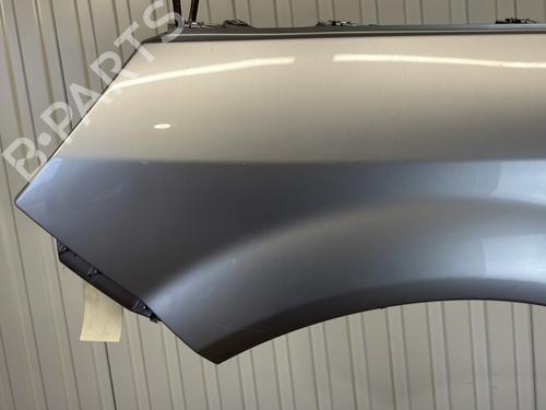 Left front fenders RENAULT SCÉNIC II (JM0/1_) 1.9 dCi (JM0G, JM12, JM1G, JM2C) | BP21488761C41 