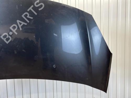 Used Hood Hood CITROËN C3 II (SC_) 1.4 HDi 70 (SC8HZC, SC8HR0, SC8HP4) (68 hp) 20914200 20914200