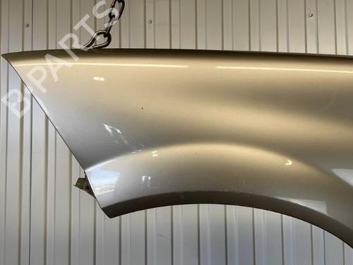 Left front fenders RENAULT MEGANE II (BM0/1_, CM0/1_) 1.5 dCi (BM1E, CM1E) | BP20911033C41 