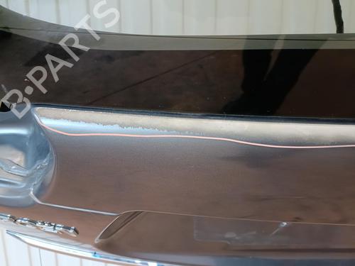 Tailgate CITROËN C-CROSSER (VU_, VV_) 2.2 HDi | BP20912746C6 