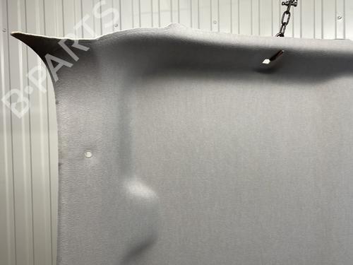 Used Interior roof Interior roof CITROËN C3 III (SX) 1.5 BlueHDi 100 (SXYHYP, SXYHTU) (102 hp) 29341630 29341630