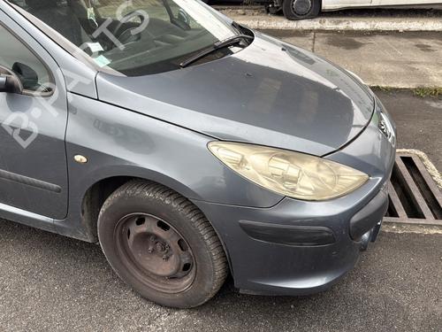 Left headlight PEUGEOT 307 (3A/C) 1.6 HDi | BP28965403C28 