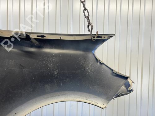 Left front fenders RENAULT CLIO III (BR0/1, CR0/1) 1.5 dCi (BR17, CR17) | BP31836953C41