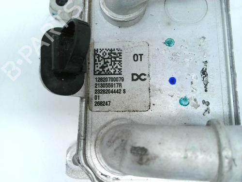 Used Oil radiator Oil radiator RENAULT CLIO V (B7_) 1.0 TCe 90 (B7MT) (91 hp) 29124485 29124485