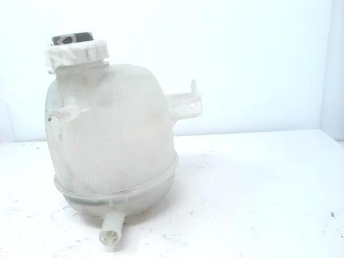 Used Expansion tank RENAULT KANGOO (KC0/1_) D 65 1.9 (KC0E, KC02, KC0J, KC0N) (64 hp) 22439056