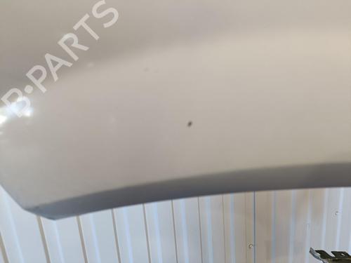Used Left front fenders RENAULT MEGANE II Estate (KM0/1_) 1.5 dCi (KM0F, KM0T, KM2B) (82 hp) 22100750