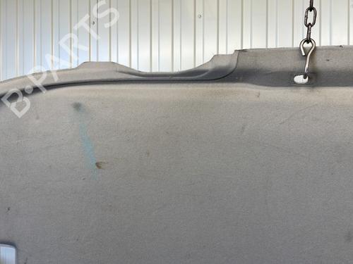 Used Interior roof Interior roof NISSAN X-TRAIL I (T30) 2.2 dCi 4x4 (136 hp) 20910853 20910853