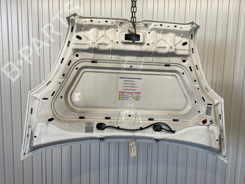 Hood OPEL COMBO Box Body/MPV (X12) 1.3 CDTI (B05) | BP27384609C1 