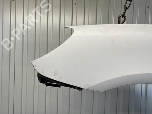 Left front fenders PEUGEOT 307 (3A/C) 2.0 HDi 110 | BP27685911C41