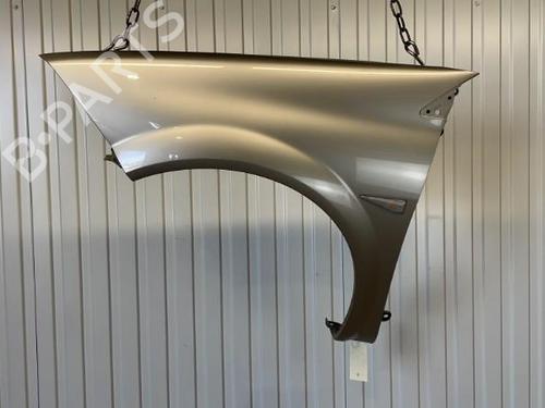 Left front fenders RENAULT MEGANE II (BM0/1_, CM0/1_) 1.5 dCi (BM1E, CM1E) | BP20911033C41 