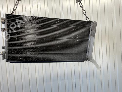 Used AC radiator RENAULT SCÉNIC III (JZ0/1_) 1.6 dCi (JZ00, JZ12) (130 hp) 29318490