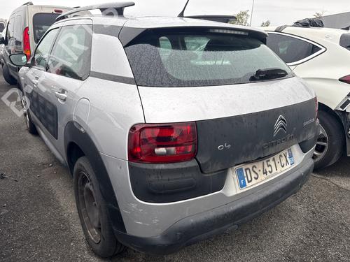 - Image 7