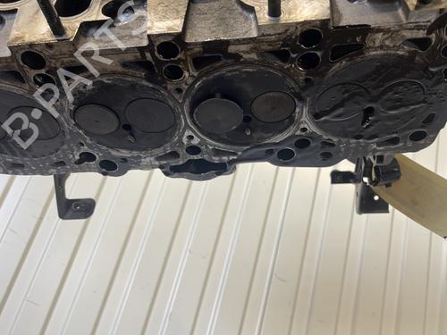 Used Cylinder head Cylinder head SEAT LEON (1P1) 1.9 TDI (105 hp) 27679387 27679387