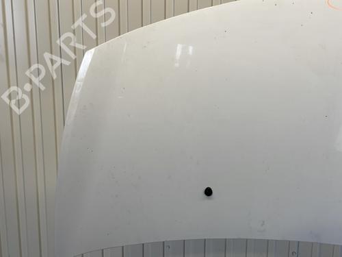 Hood RENAULT CLIO III (BR0/1, CR0/1) 1.5 dCi (C/BR0G, C/BR1G) | BP21388827C1 