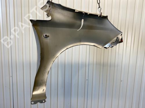 Left front fenders OPEL CORSA D (S07) 1.3 CDTI (L08, L68) | BP23795698C41 