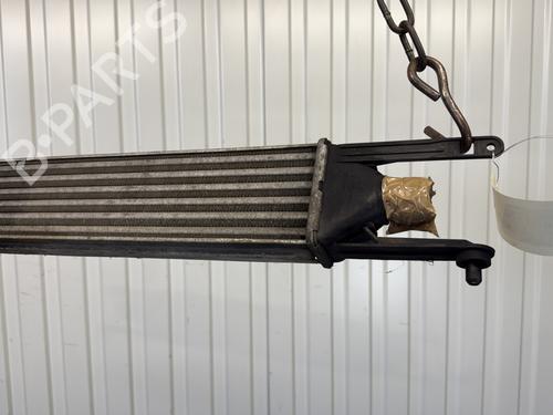 Used Intercooler Intercooler FIAT GRANDE PUNTO (199_) 1.3 D Multijet (75 hp) 28965442 28965442