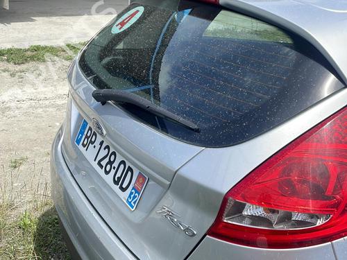  - Image 7