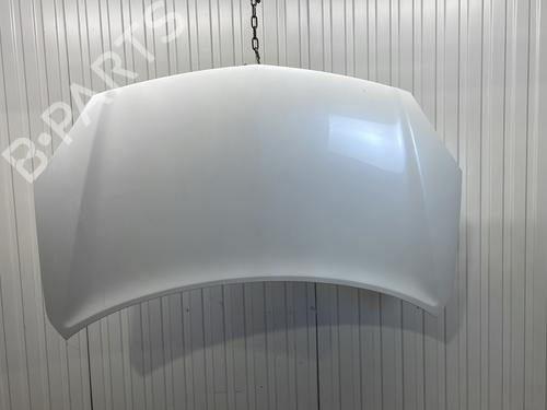 BP29513332C1 main image