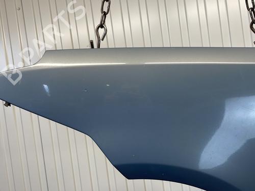 Left front fenders FORD C-MAX (DM2) 1.8 TDCi | BP21811950C41 