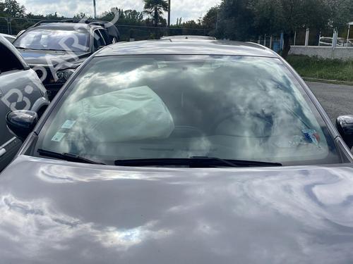 Front left panel RENAULT CLIO IV (BH_) 1.2 16V | BP22100931C58  - Image 9