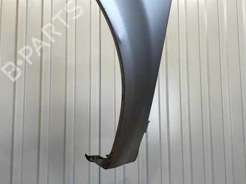 Left front fenders RENAULT SCÉNIC II (JM0/1_) 1.9 dCi (JM0G, JM12, JM1G, JM2C) | BP21488761C41 