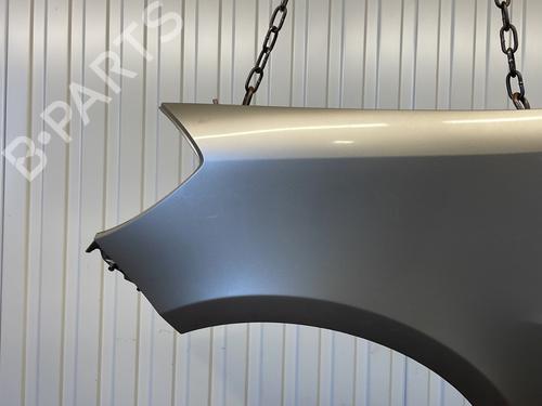 Left front fenders RENAULT CLIO III (BR0/1, CR0/1) 1.5 dCi (BR17, CR17) | BP31836953C41