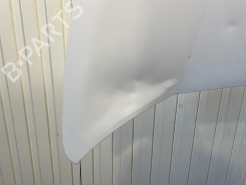 Hood CITROËN JUMPY II Van 2.0 HDi 120 | BP21518543C1 