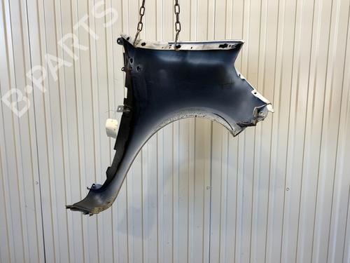 Left front fenders RENAULT CLIO III (BR0/1, CR0/1) 1.5 dCi (C/BR0G, C/BR1G) | BP22653633C41 