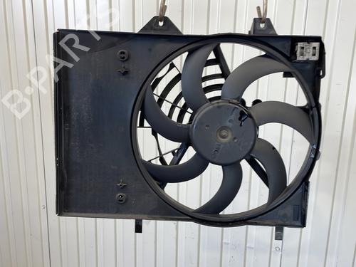 Used Radiator fan Radiator fan PEUGEOT 2008 I (CU_) 1.2 THP 110 / PureTech 110 (110 hp) 30396789 30396789