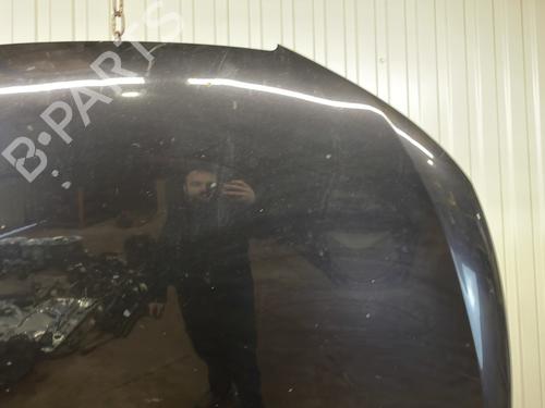 Hood SEAT IBIZA IV (6J5, 6P1) 1.6 TDI | BP31603075C1