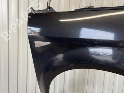 Right front fenders RENAULT SCÉNIC II (JM0/1_) 1.5 dCi (JM1F) | BP20916313C42 