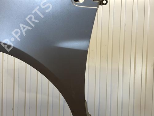 Left front fenders RENAULT CLIO III (BR0/1, CR0/1) 1.5 dCi (BR17, CR17) | BP31836953C41